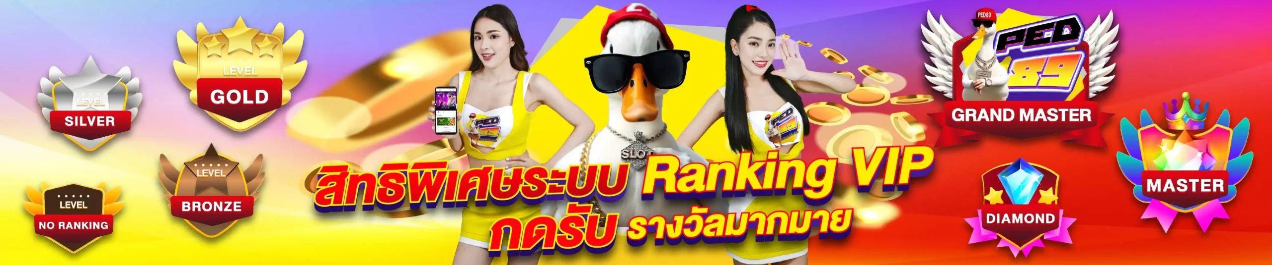 PED89 Banner Ranking-03